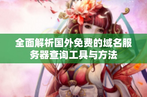 全面解析国外免费的域名服务器查询工具与方法