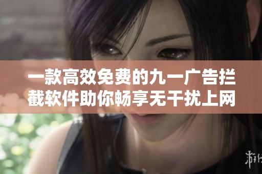 一款高效免费的九一广告拦截软件助你畅享无干扰上网体验