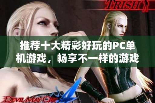 推荐十大精彩好玩的PC单机游戏，畅享不一样的游戏体验！
