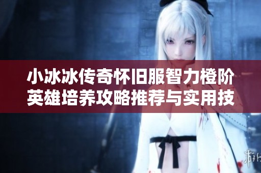 小冰冰传奇怀旧服智力橙阶英雄培养攻略推荐与实用技巧