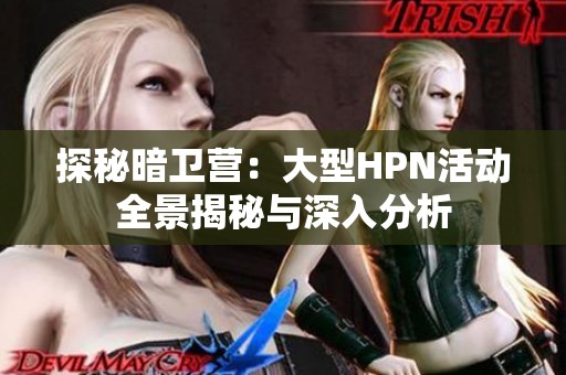 探秘暗卫营：大型HPN活动全景揭秘与深入分析