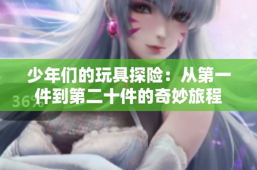 少年们的玩具探险：从第一件到第二十件的奇妙旅程