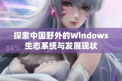 探索中国野外的Windows生态系统与发展现状