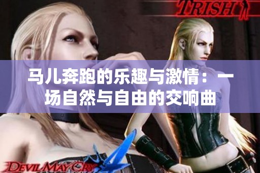 马儿奔跑的乐趣与激情：一场自然与自由的交响曲