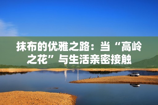 抹布的优雅之路：当“高岭之花”与生活亲密接触