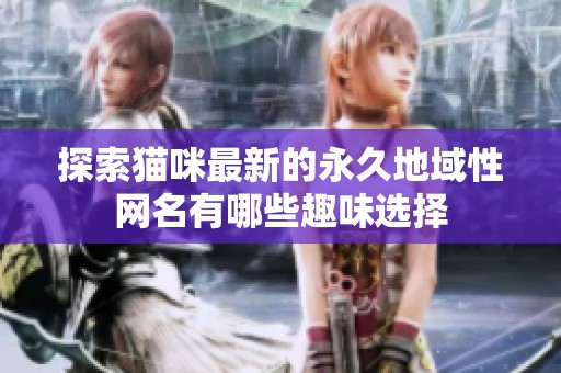 探索猫咪最新的永久地域性网名有哪些趣味选择