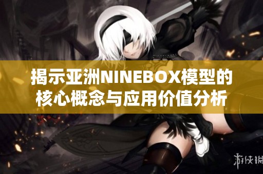 揭示亚洲NINEBOX模型的核心概念与应用价值分析