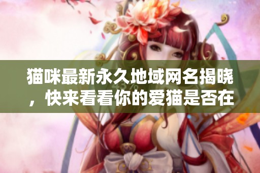 猫咪最新永久地域网名揭晓，快来看看你的爱猫是否在列！