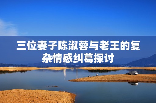 三位妻子陈淑蓉与老王的复杂情感纠葛探讨