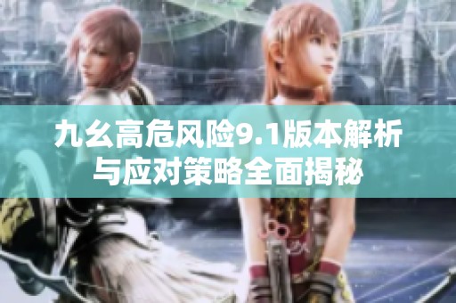 九幺高危风险9.1版本解析与应对策略全面揭秘