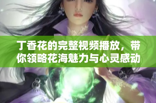 丁香花的完整视频播放，带你领略花海魅力与心灵感动