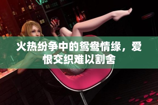 火热纷争中的鸳鸯情缘，爱恨交织难以割舍