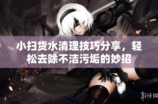 小扫货水清理技巧分享，轻松去除不洁污垢的妙招