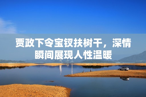 贾政下令宝钗扶树干，深情瞬间展现人性温暖