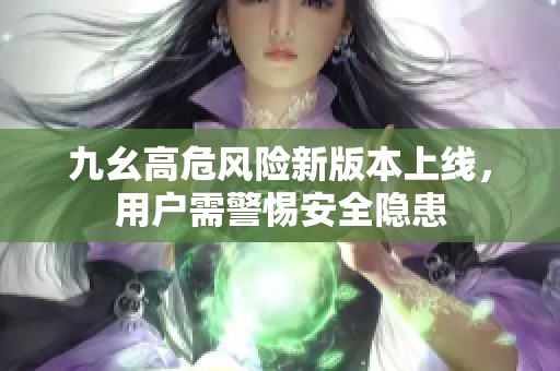 九幺高危风险新版本上线，用户需警惕安全隐患