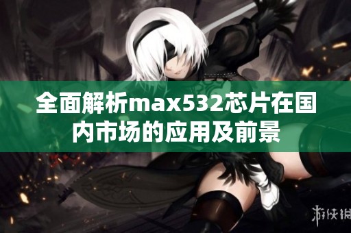 全面解析max532芯片在国内市场的应用及前景