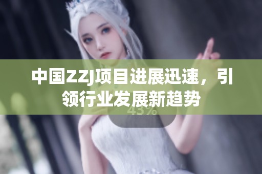 中国ZZJ项目进展迅速，引领行业发展新趋势