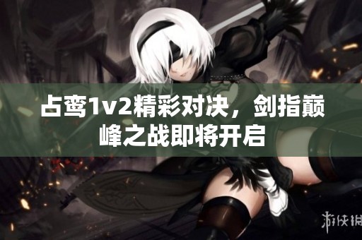 占鸾1v2精彩对决，剑指巅峰之战即将开启