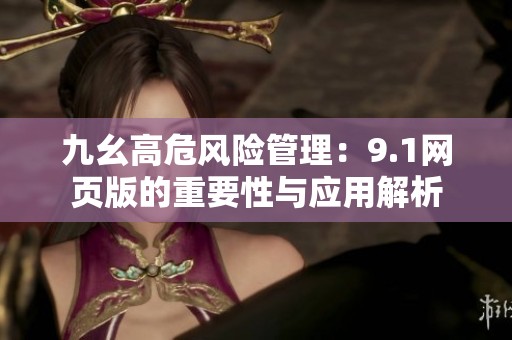 九幺高危风险管理：9.1网页版的重要性与应用解析