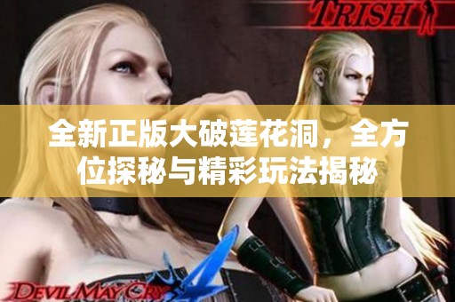全新正版大破莲花洞，全方位探秘与精彩玩法揭秘