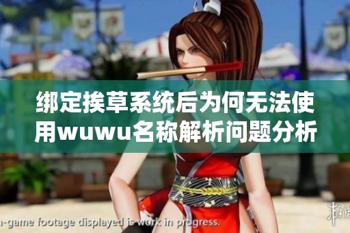 绑定挨草系统后为何无法使用wuwu名称解析问题分析