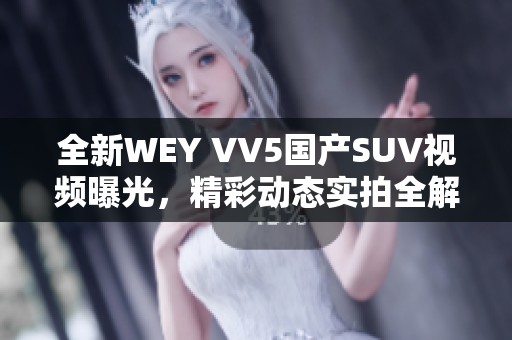 全新WEY VV5国产SUV视频曝光，精彩动态实拍全解析