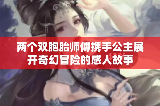 两个双胞胎师傅携手公主展开奇幻冒险的感人故事