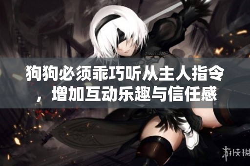 狗狗必须乖巧听从主人指令，增加互动乐趣与信任感
