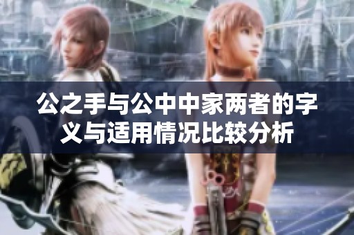 公之手与公中中家两者的字义与适用情况比较分析