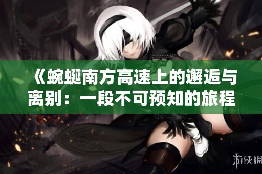 《蜿蜒南方高速上的邂逅与离别：一段不可预知的旅程》