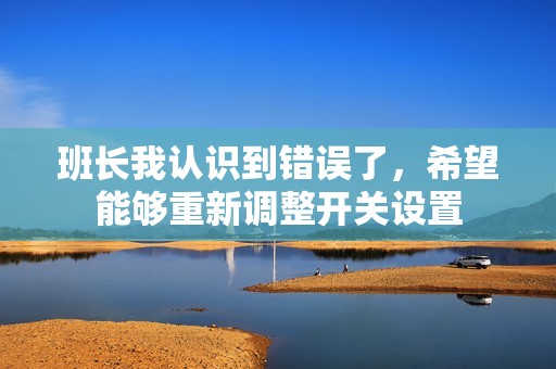 班长我认识到错误了，希望能够重新调整开关设置