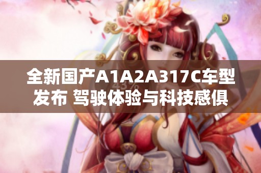 全新国产A1A2A317C车型发布 驾驶体验与科技感俱佳