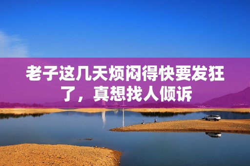 老子这几天烦闷得快要发狂了，真想找人倾诉