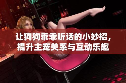 让狗狗乖乖听话的小妙招，提升主宠关系与互动乐趣