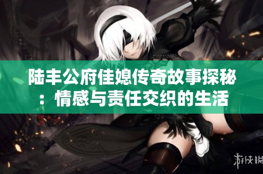 陆丰公府佳媳传奇故事探秘：情感与责任交织的生活