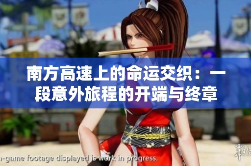 南方高速上的命运交织：一段意外旅程的开端与终章