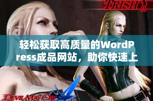 轻松获取高质量的WordPress成品网站，助你快速上线