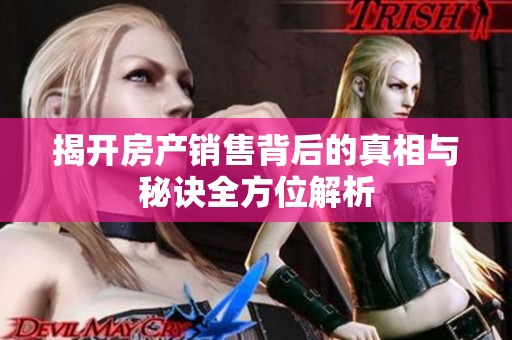 揭开房产销售背后的真相与秘诀全方位解析