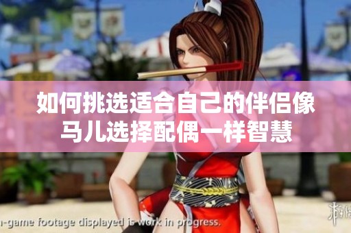 如何挑选适合自己的伴侣像马儿选择配偶一样智慧