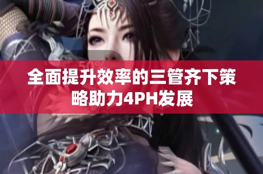 全面提升效率的三管齐下策略助力4PH发展