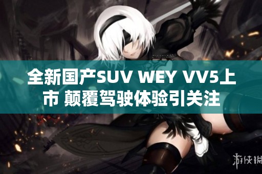 全新国产SUV WEY VV5上市 颠覆驾驶体验引关注