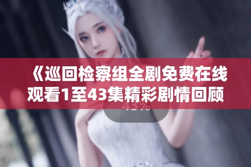《巡回检察组全剧免费在线观看1至43集精彩剧情回顾》