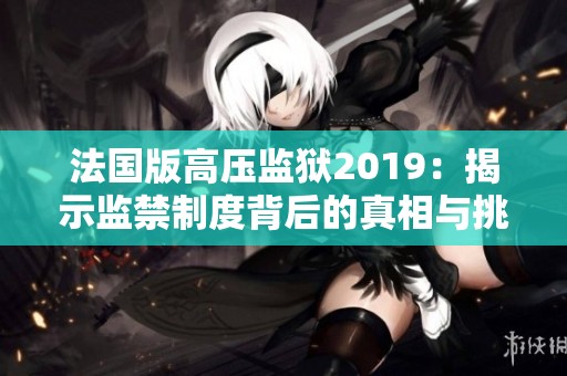 法国版高压监狱2019：揭示监禁制度背后的真相与挑战