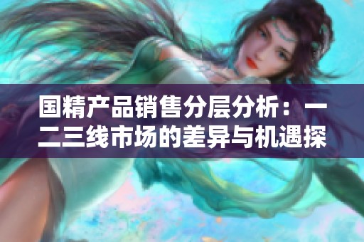 国精产品销售分层分析：一二三线市场的差异与机遇探讨