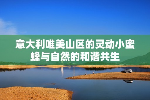 意大利唯美山区的灵动小蜜蜂与自然的和谐共生
