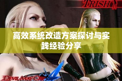 高效系统改造方案探讨与实践经验分享