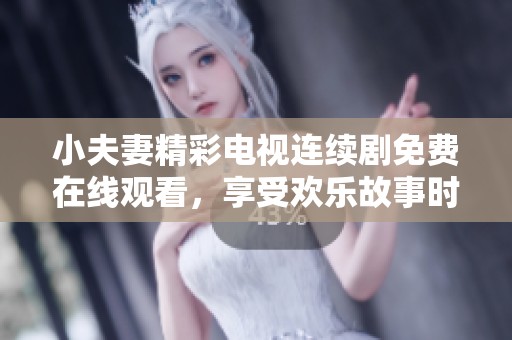 小夫妻精彩电视连续剧免费在线观看，享受欢乐故事时光