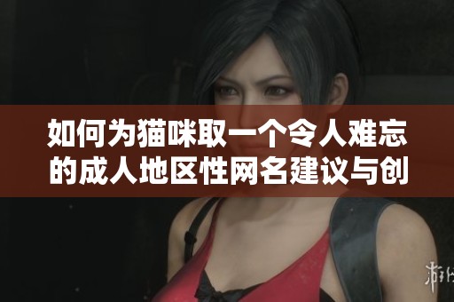 如何为猫咪取一个令人难忘的成人地区性网名建议与创意