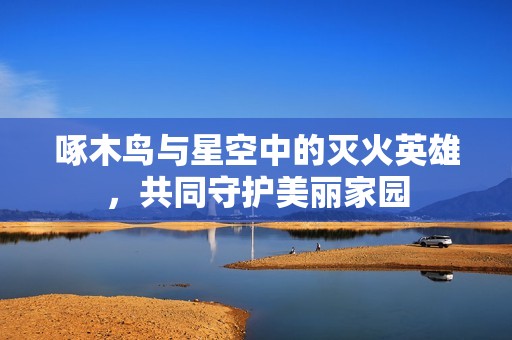 啄木鸟与星空中的灭火英雄，共同守护美丽家园