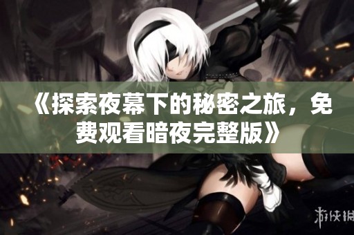 《探索夜幕下的秘密之旅，免费观看暗夜完整版》